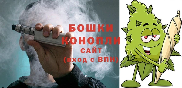 ECSTASY Няндома