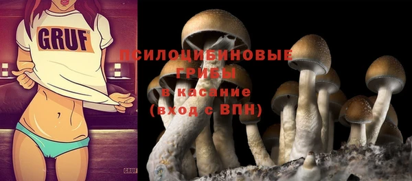 Альфа ПВП Армянск